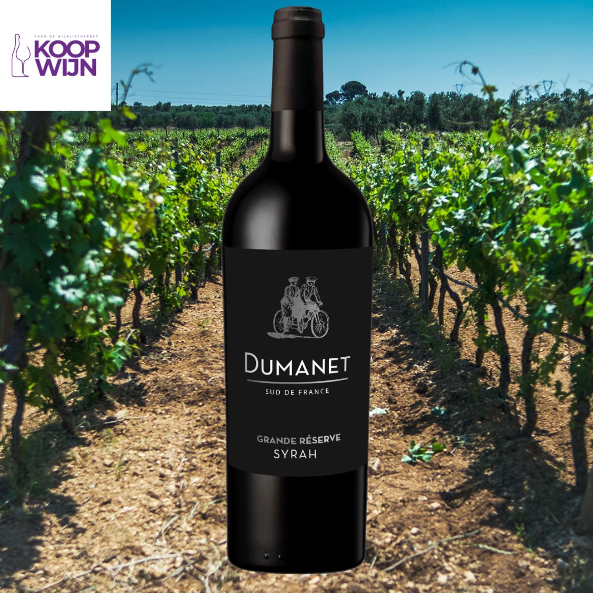 Dumanet Syrah Grand Réserve