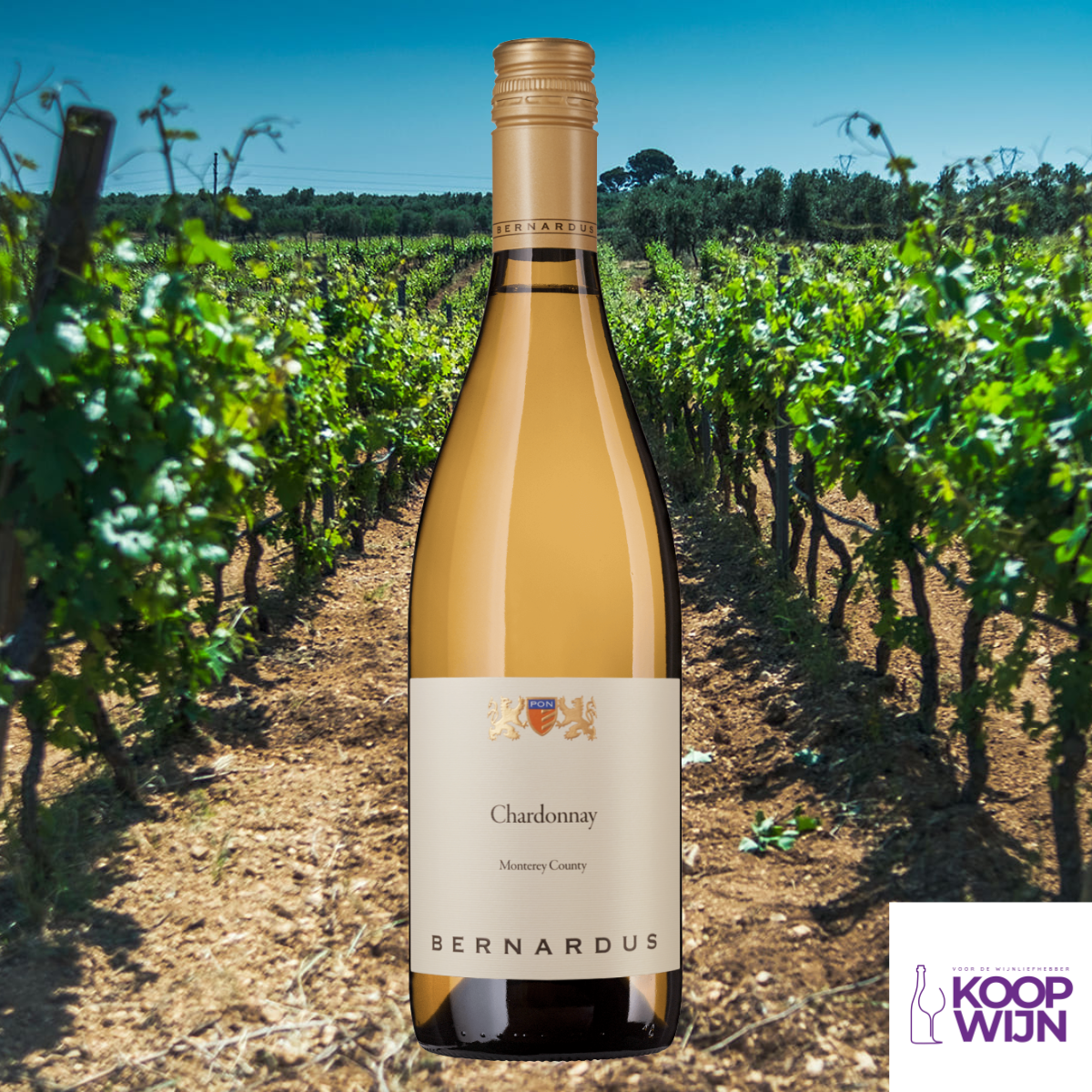 Bernardus Chardonnay