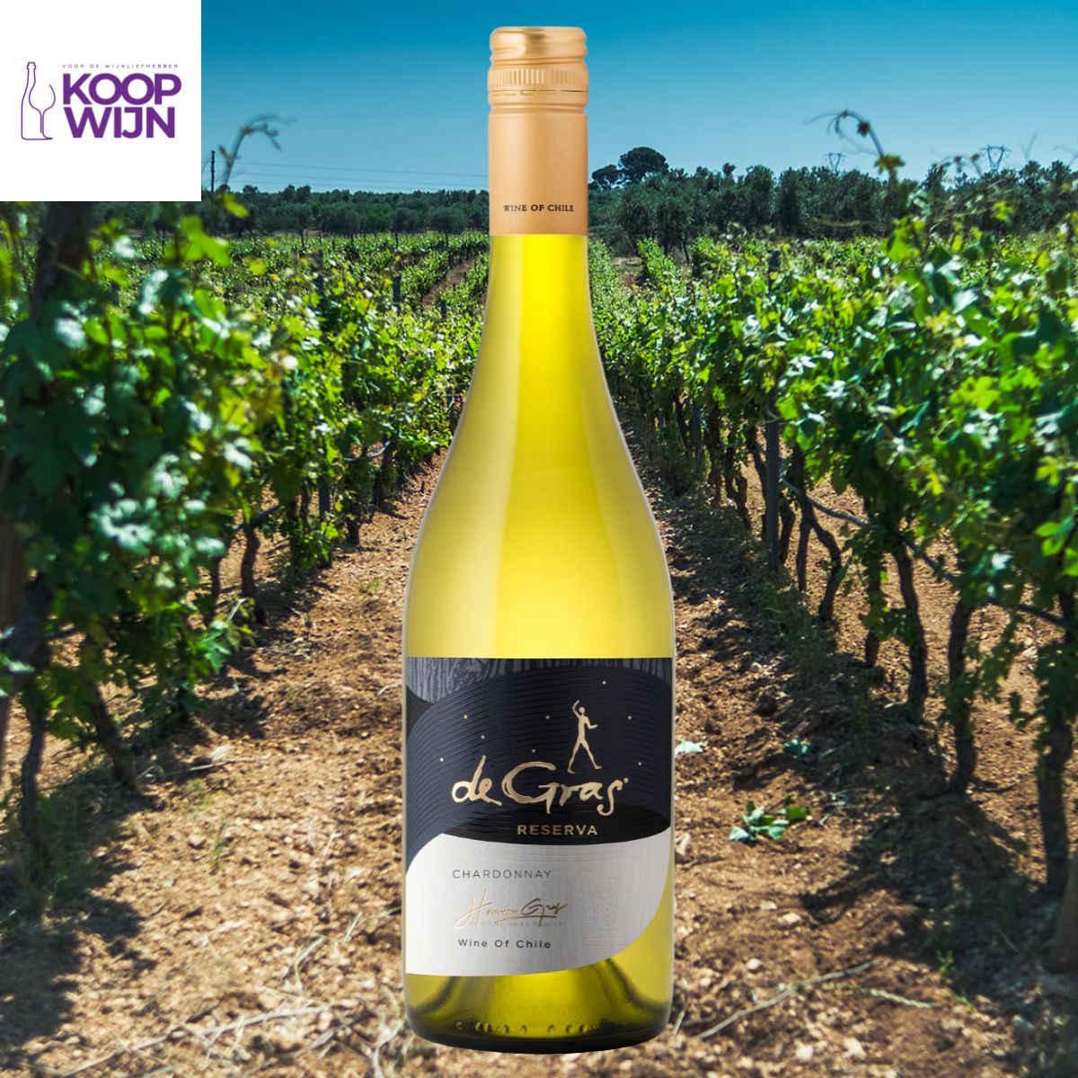 MontGras de Gras Reserva Chardonnay
