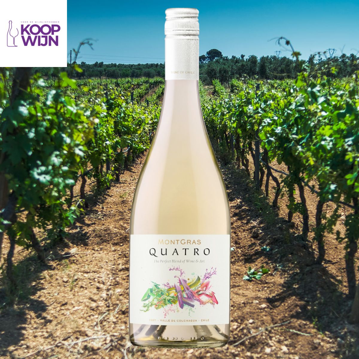 MontGras Quatro White