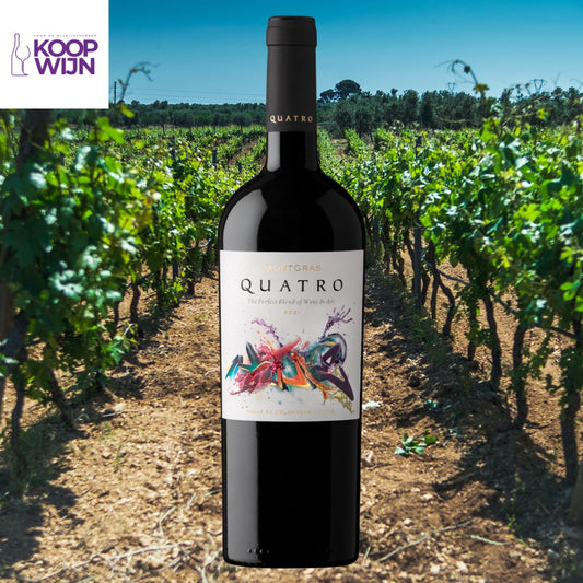 De Ultieme Chileense Blend die je Moet Proeven