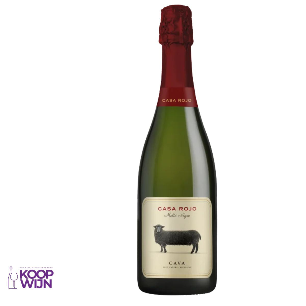Casa Rojo Cava Moltó Negre