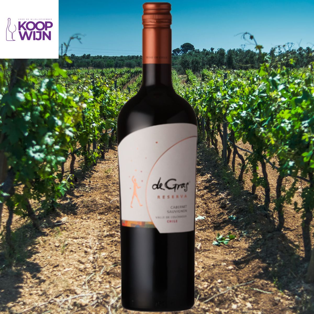 MontGras de Gras Reserva Cabernet Sauvignon