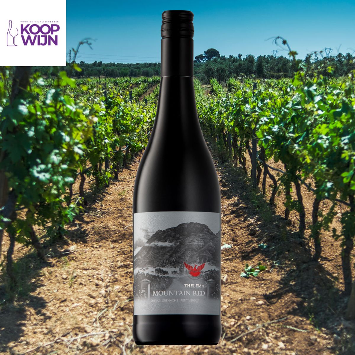 Thelema Mountain Vineyards Red