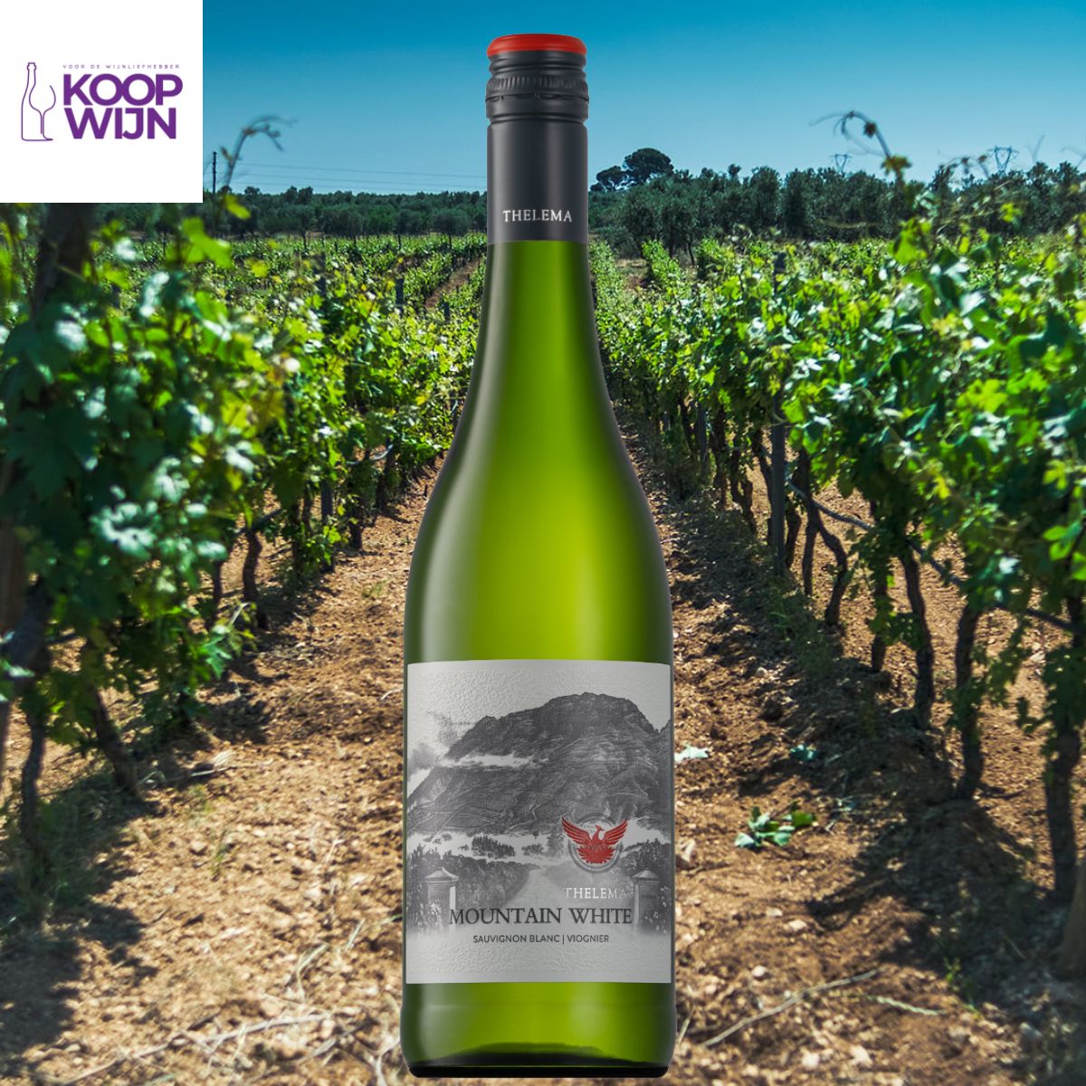 Thelema Mountain Vineyards White