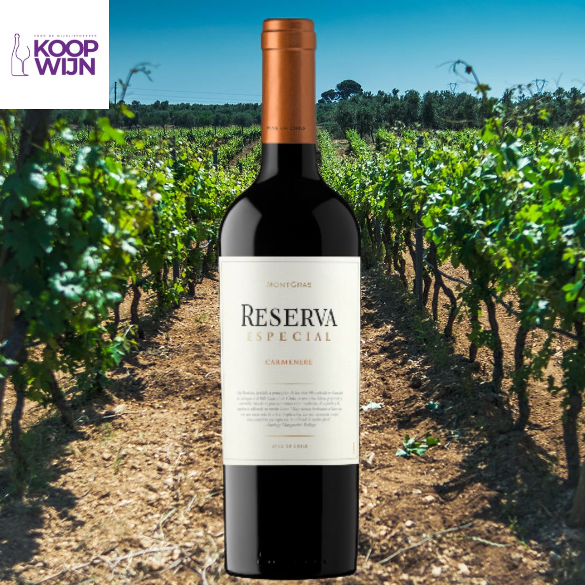 MontGras Reserva Especial Carmenère