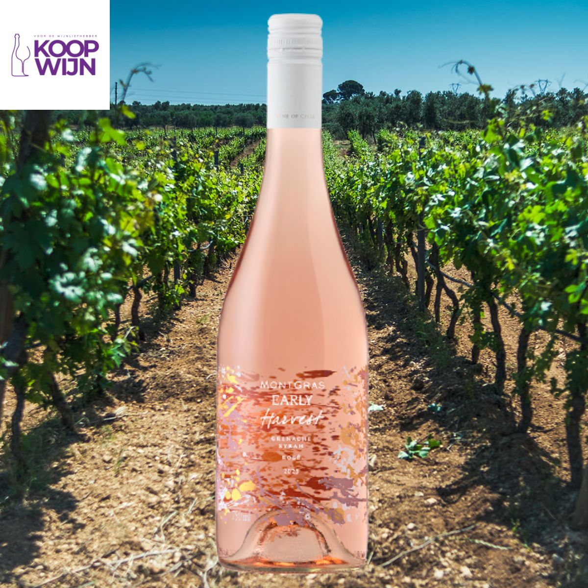 MontGras Early Harvest Rosé